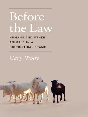 cover image of Before the Law